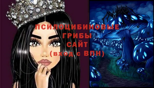 ПСИЛОЦИБИНОВЫЕ ГРИБЫ Балабаново